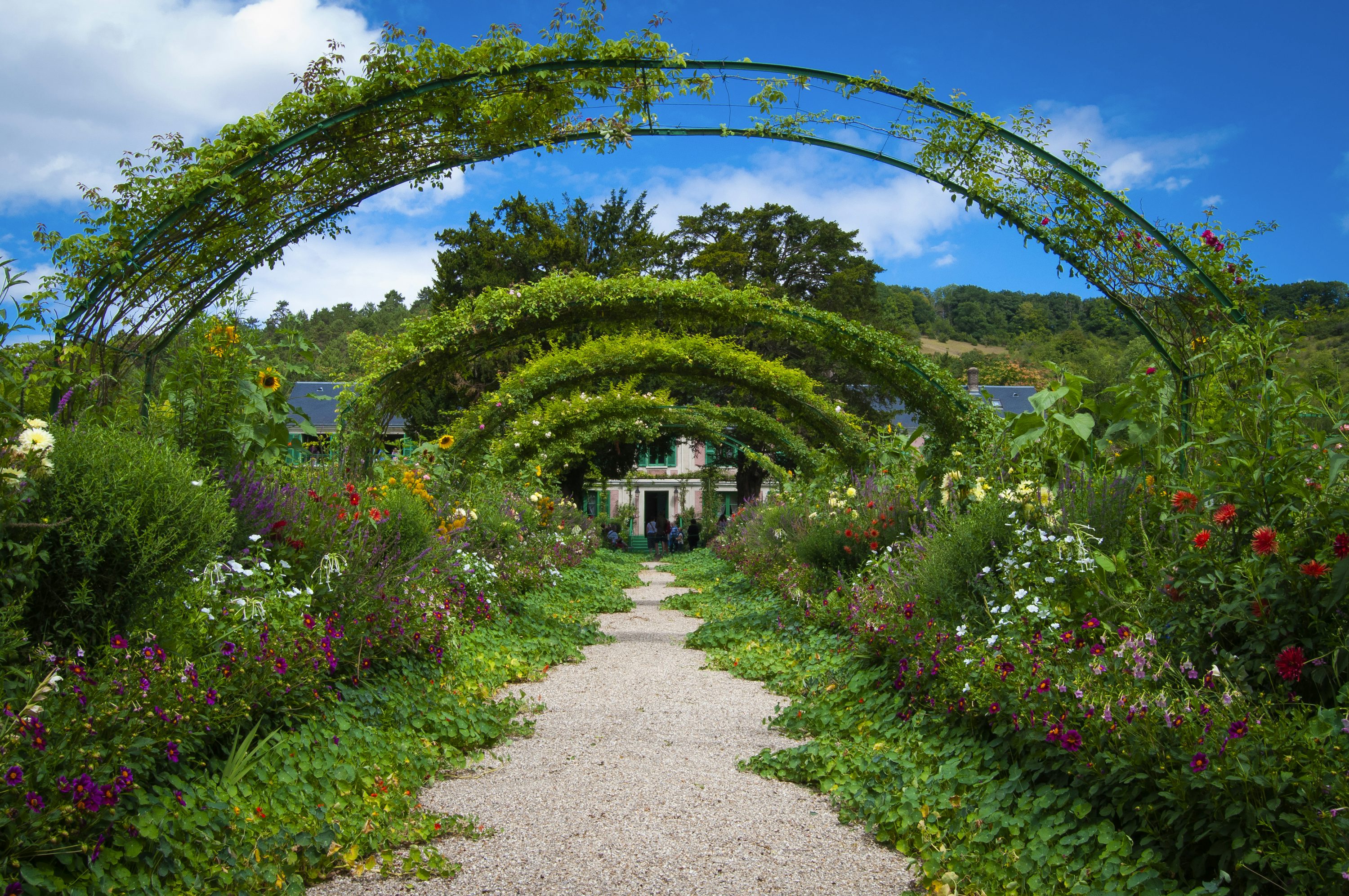 Jardin 4
