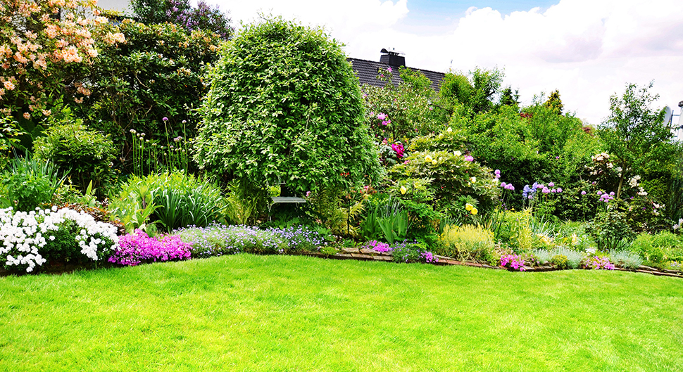 Jardin 2