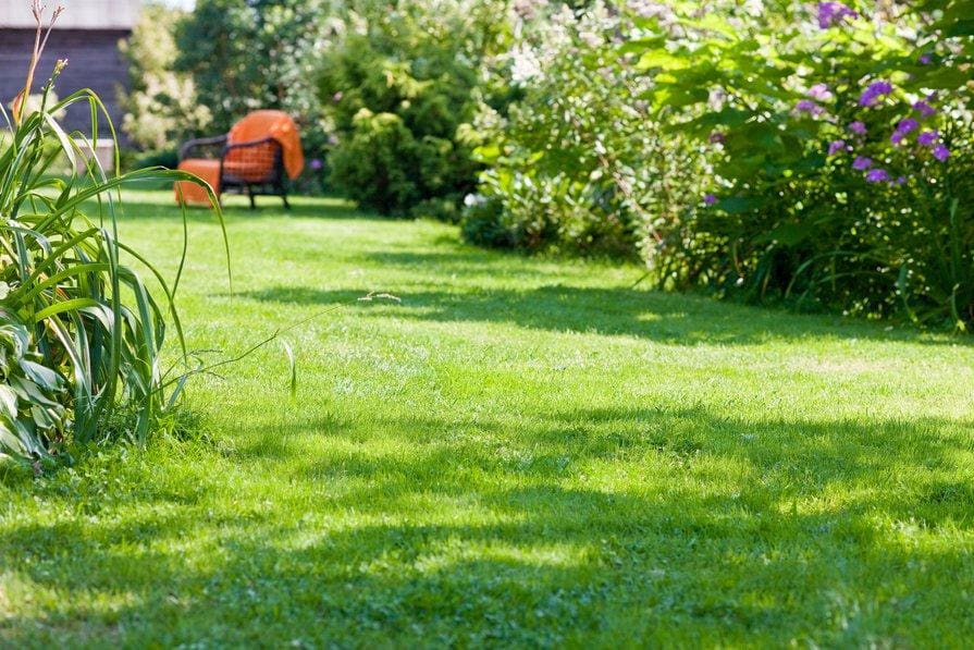 Jardin 3